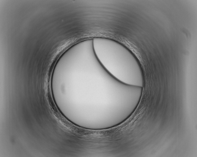 X0000112740578200908201037