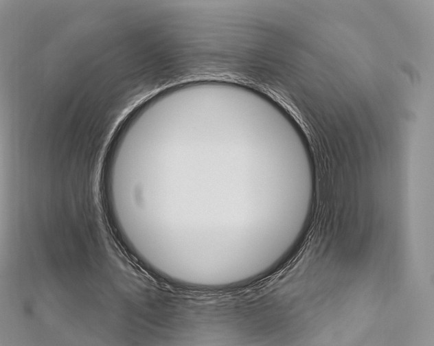 X0000112740579200908201037