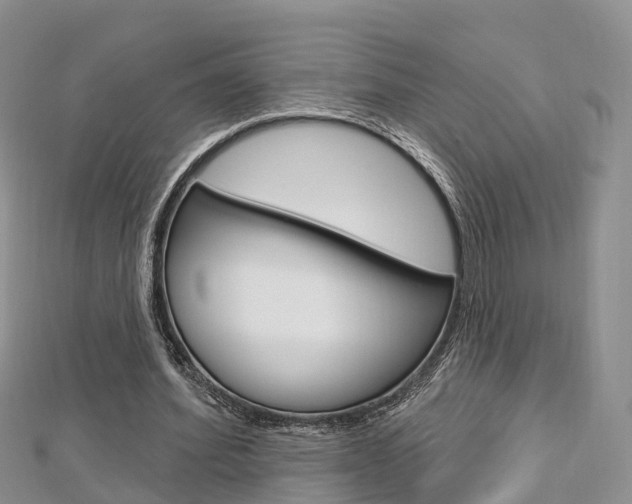 X0000112740580200908201037