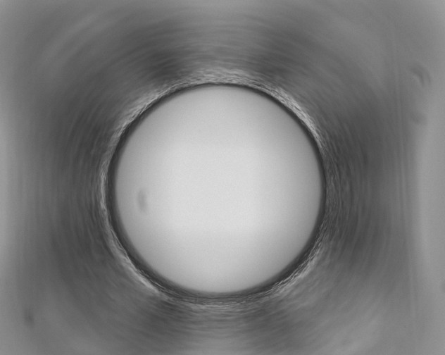 X0000112740581200908201037