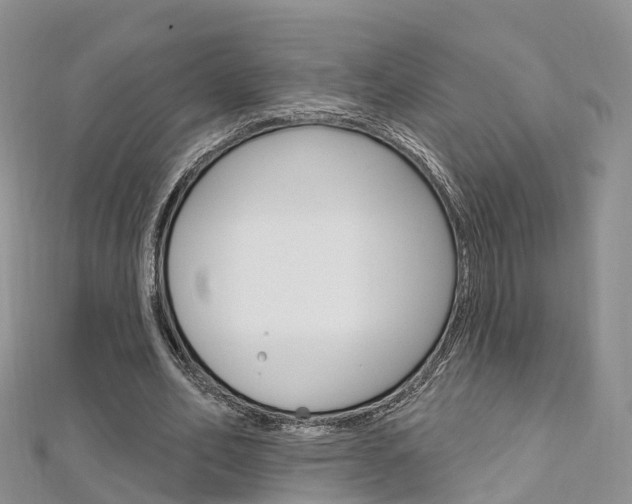 X0000112740582200908201037