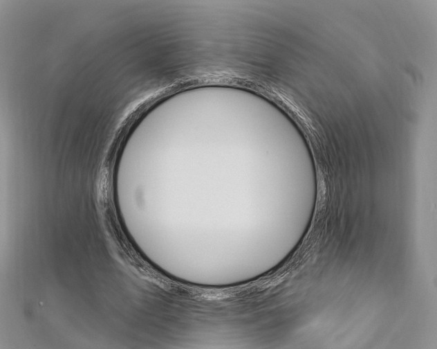 X0000112740583200908201037