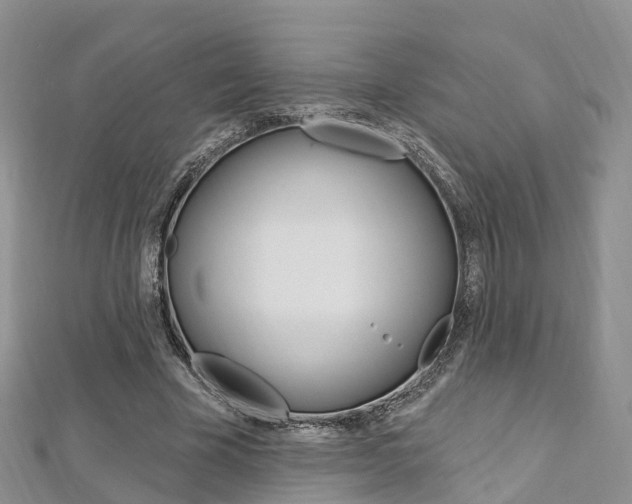 X0000112740585200908201037