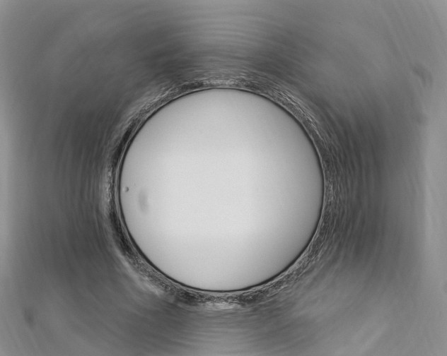 X0000112740586200908201037