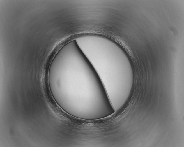 X0000112740588200908201037