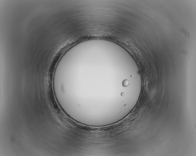 X0000112740591200908201037
