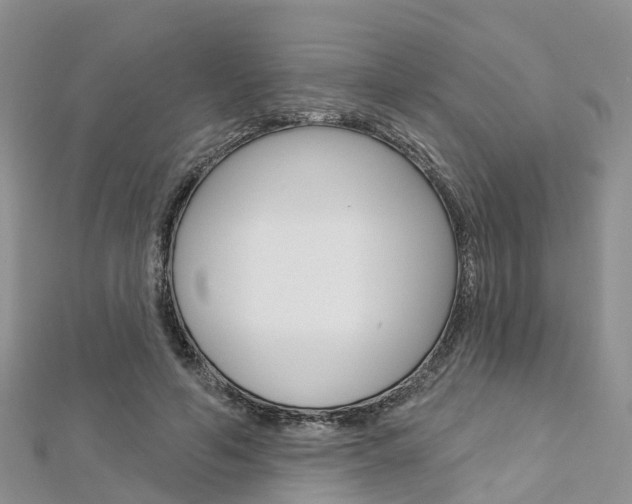 X0000112740594200908201037