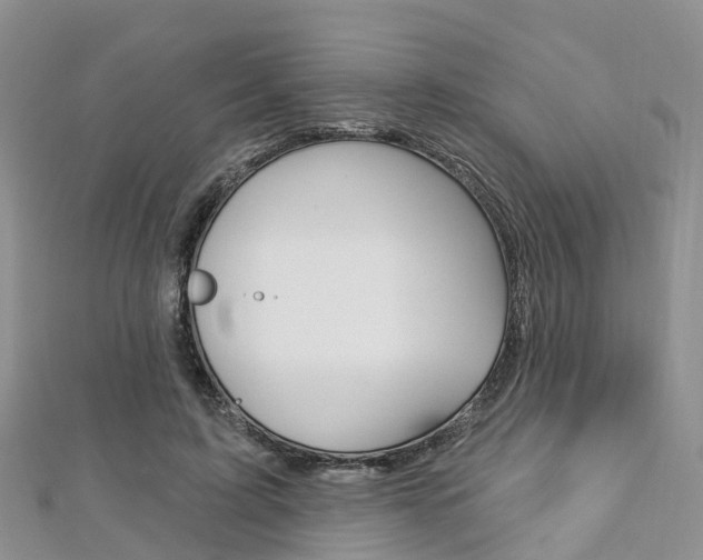X0000112740595200908201037