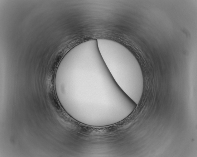 X0000112740599200908201037