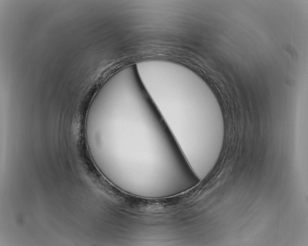 X0000112740600200908201037