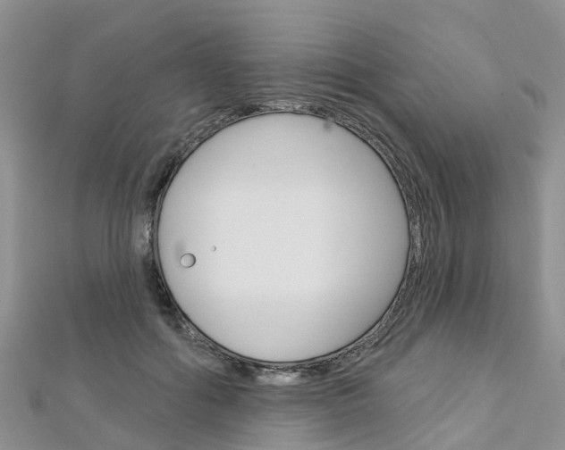 X0000112740602200908201036