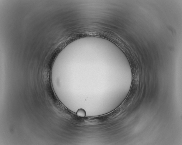X0000112740603200908201036