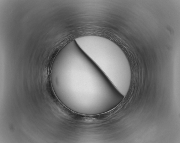 X0000112740605200908201036