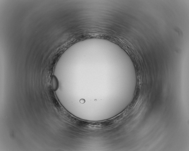 X0000112740606200908201036