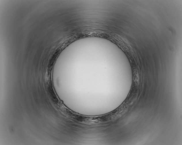 X0000112740607200908201036