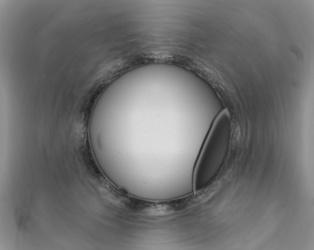X0000112740609200908201036