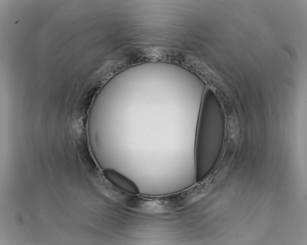 X0000112740611200908201036