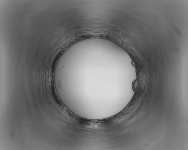 X0000112740612200908201036