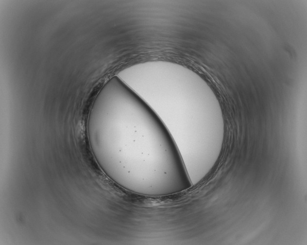 X0000112740613200908201036