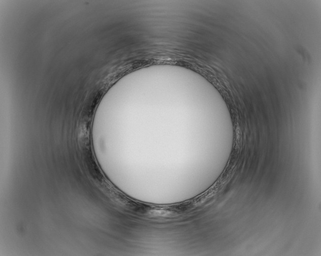 X0000112740614200908201036