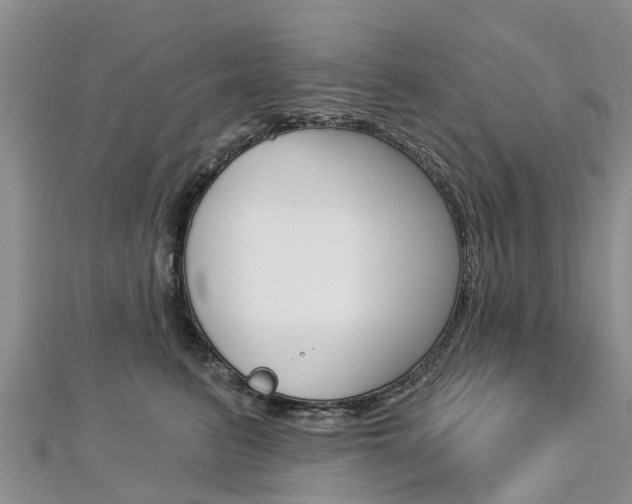 X0000112740615200908201036