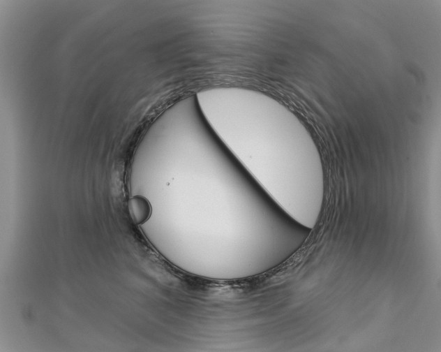 X0000112740616200908201036