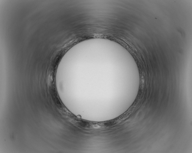 X0000112740618200908201036