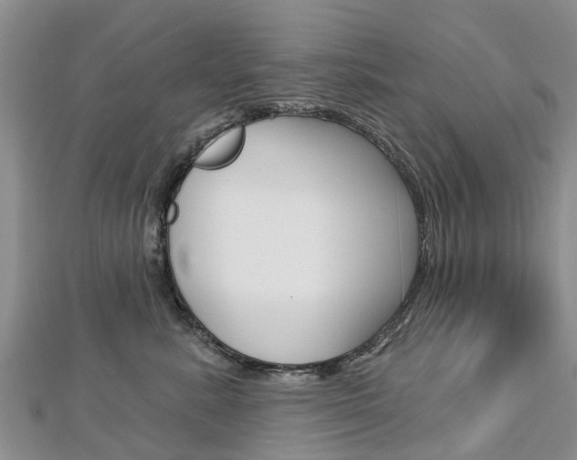 X0000112740619200908201036