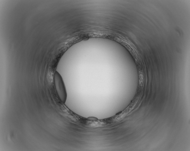 X0000112740621200908201036