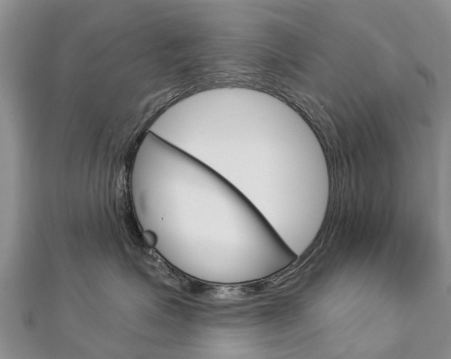 X0000112740623200908201036