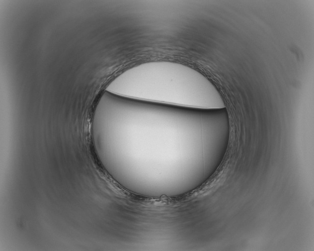 X0000112740624200908201036