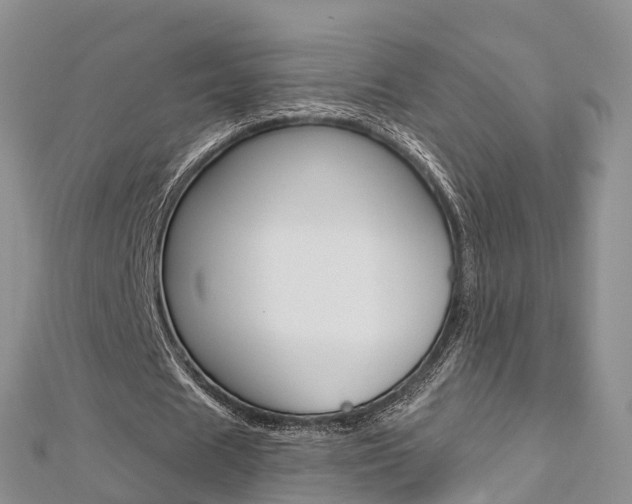 X0000112740625200908201036