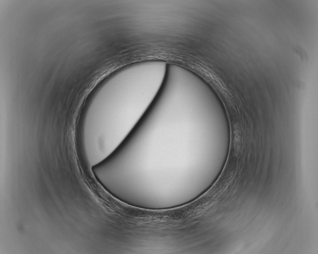 X0000112740626200908201036