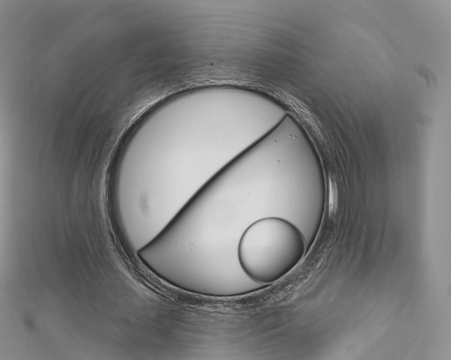 X0000112740627200908201036