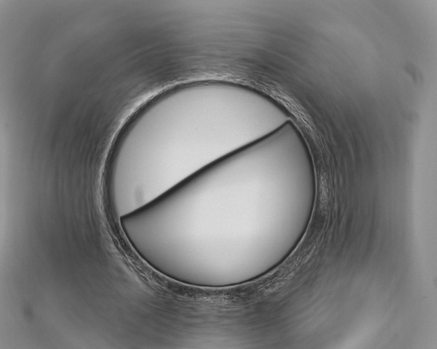 X0000112740628200908201036