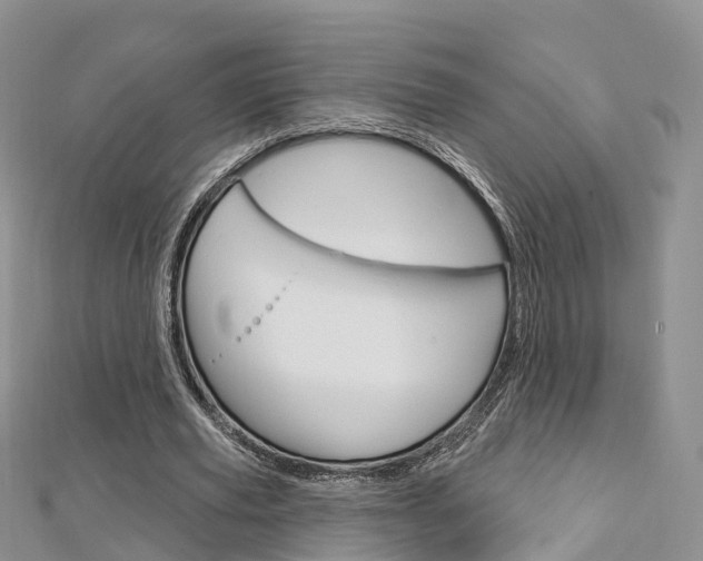 X0000112740629200908201036