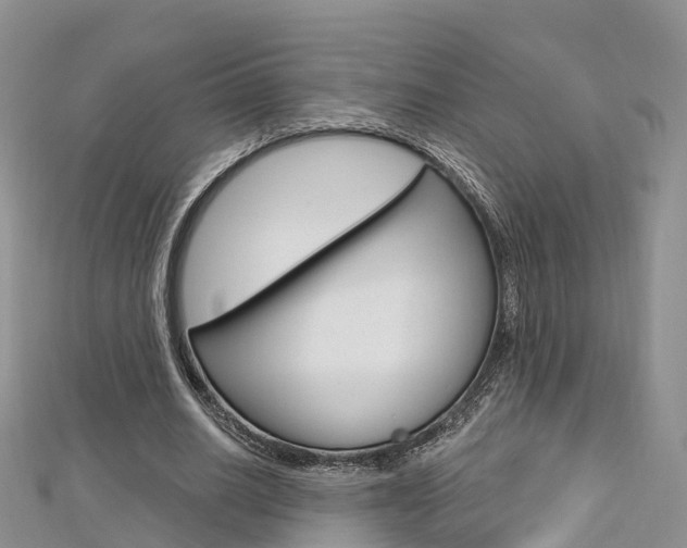 X0000112740630200908201036