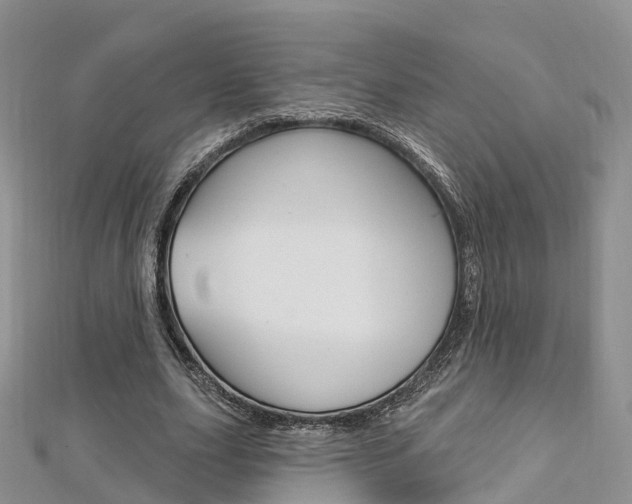 X0000112740631200908201036