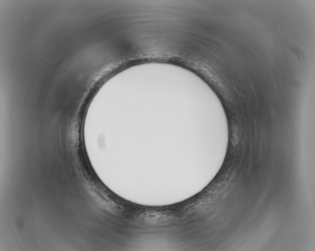 X0000112740632200908201036