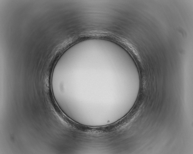 X0000112740633200908201036