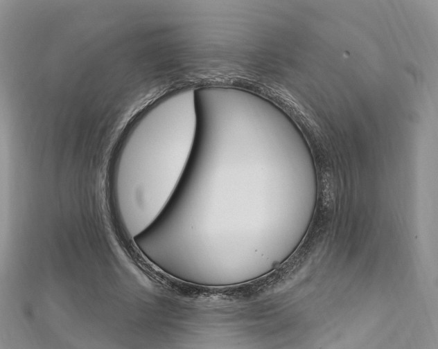 X0000112740634200908201036