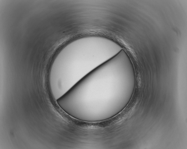 X0000112740637200908201036