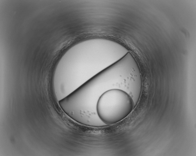 X0000112740639200908201036