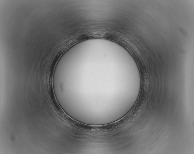 X0000112740641200908201036