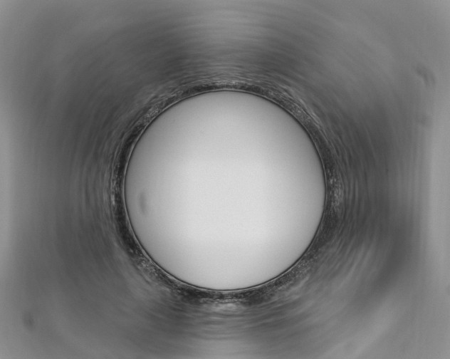 X0000112740643200908201036