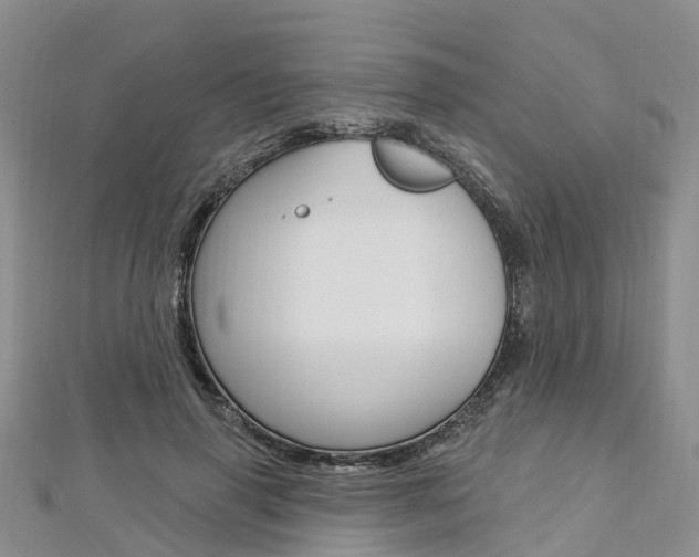 X0000112740645200908201036