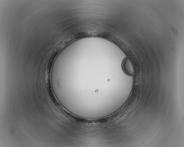 X0000112740646200908201036