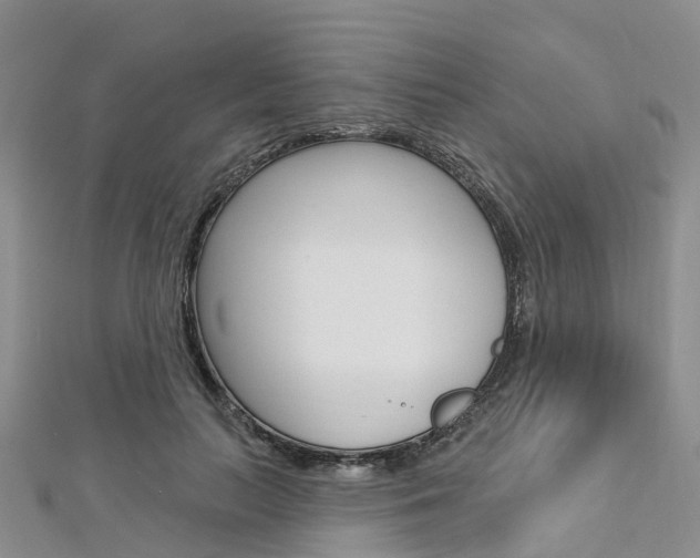 X0000112740647200908201036