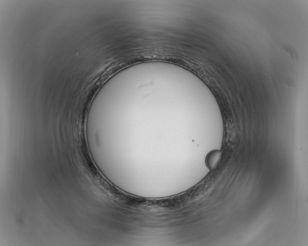 X0000112740648200908201036