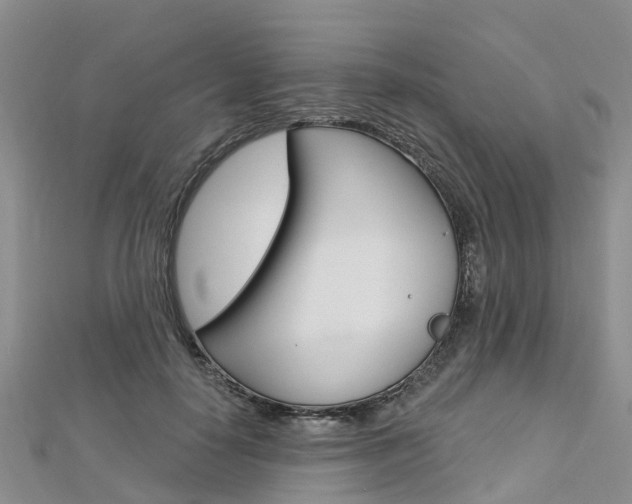 X0000112740650200908201036